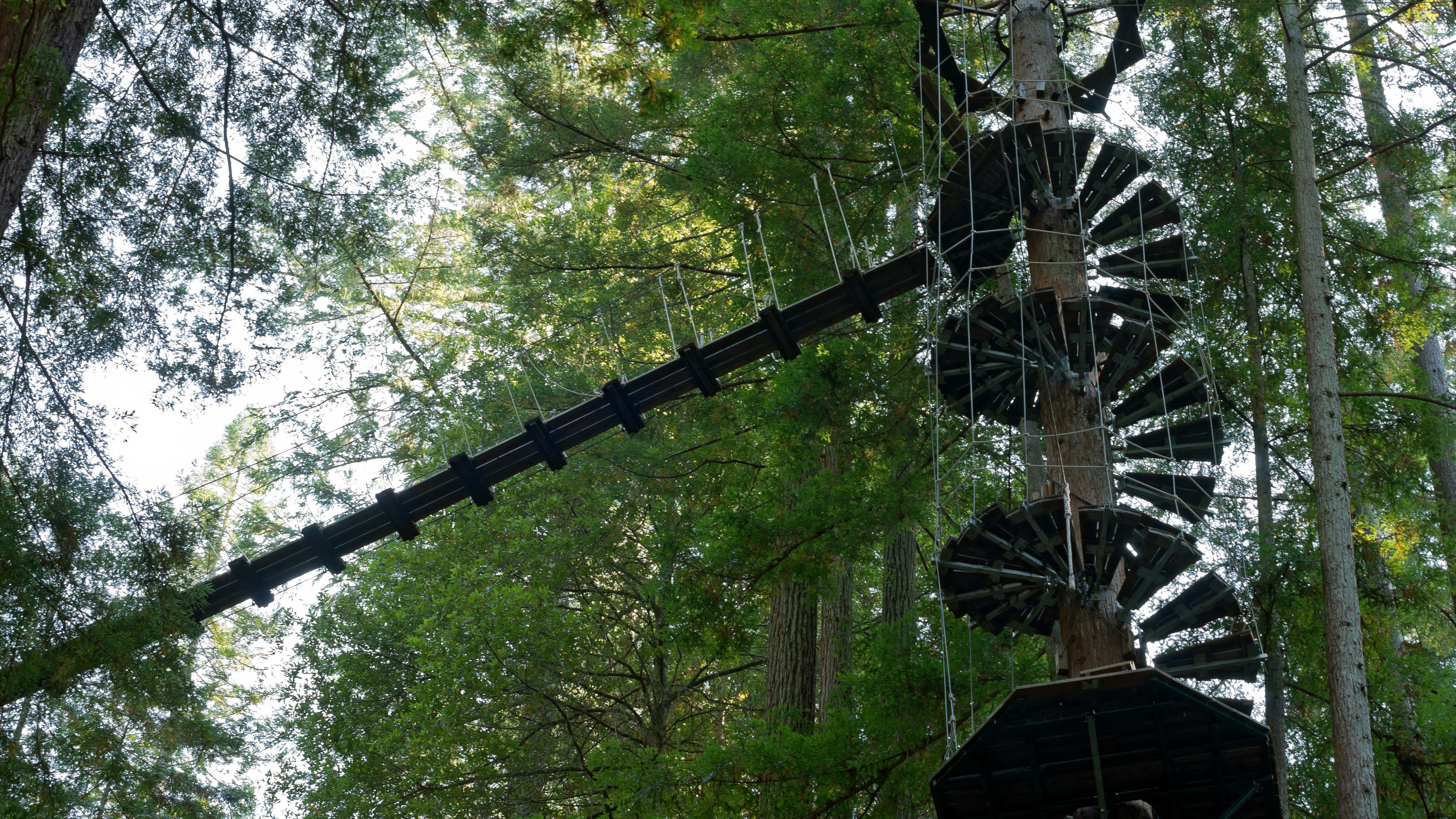 Spend the night in the redwoods in one of these luxurious yurt treehouses