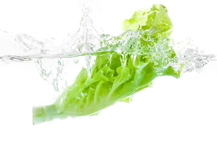 Lettuce In Water