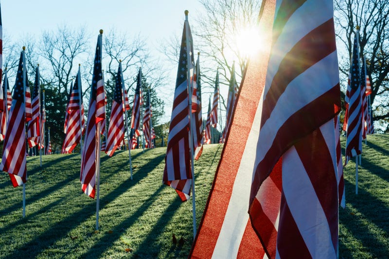 Veteran's Day