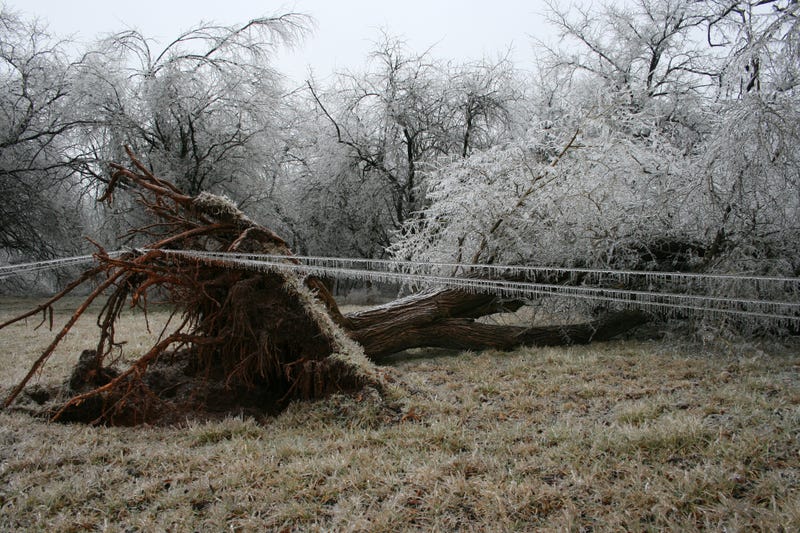 Ice Storm