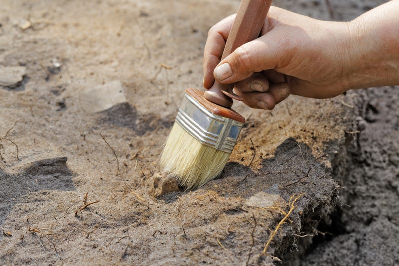 Archaeologist.