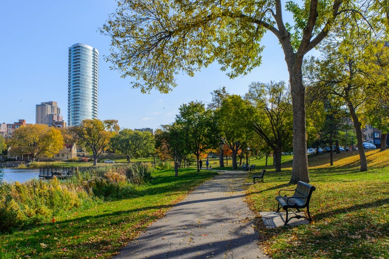 The City of Minneapolis is selling 2,200 trees to residents to help enhance the city's canopy and combat climate change.