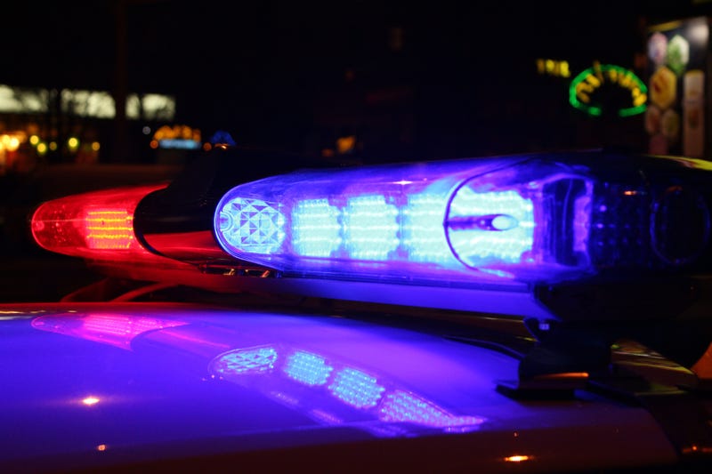 A close-up of police lights at night. 
