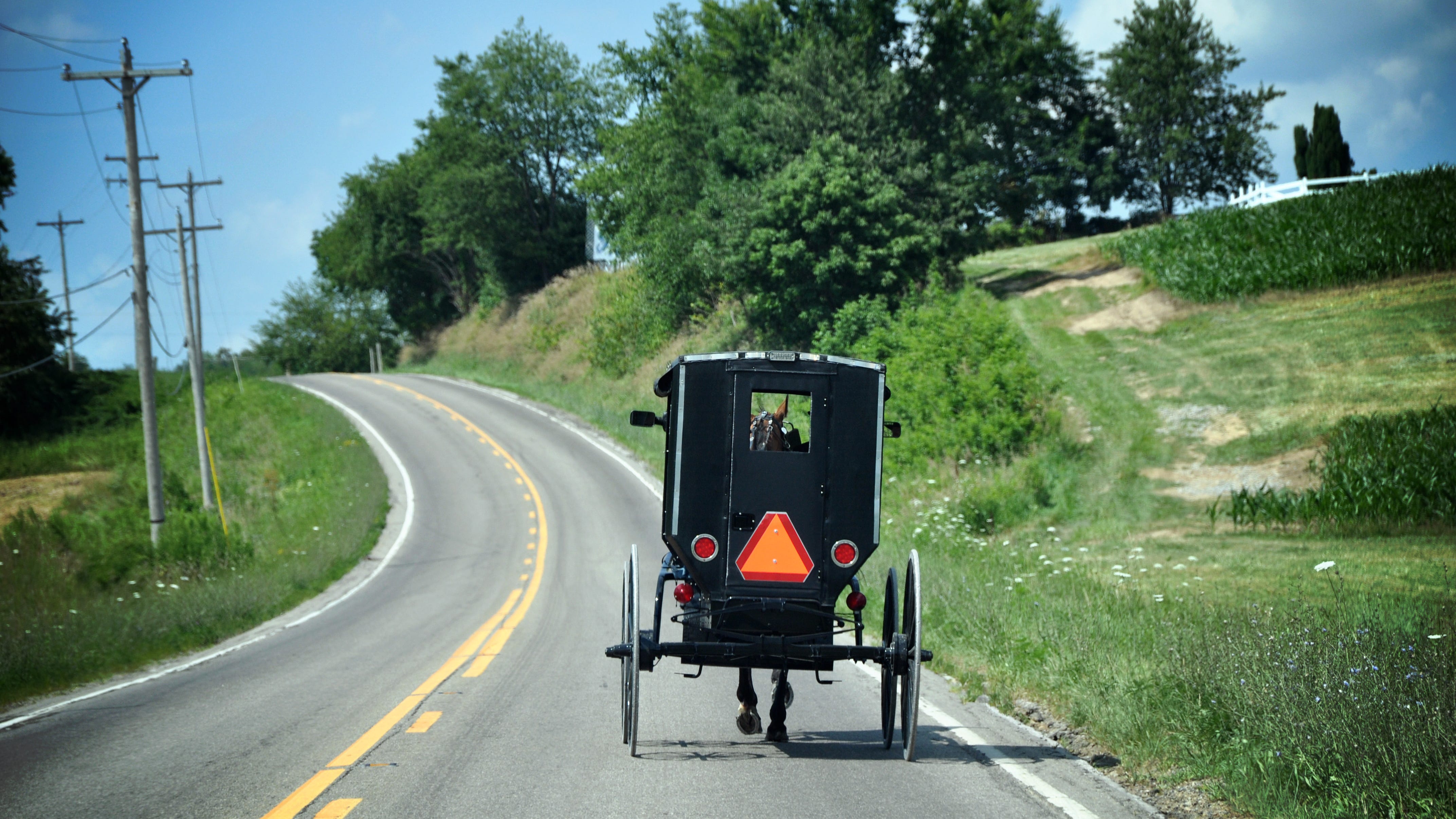 Buggy driver, 2 teens seriously injured in Pennsylvania crash involving minivan