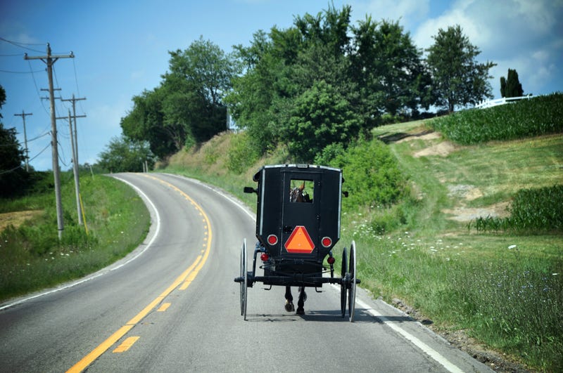 Amish horse and buggy on road