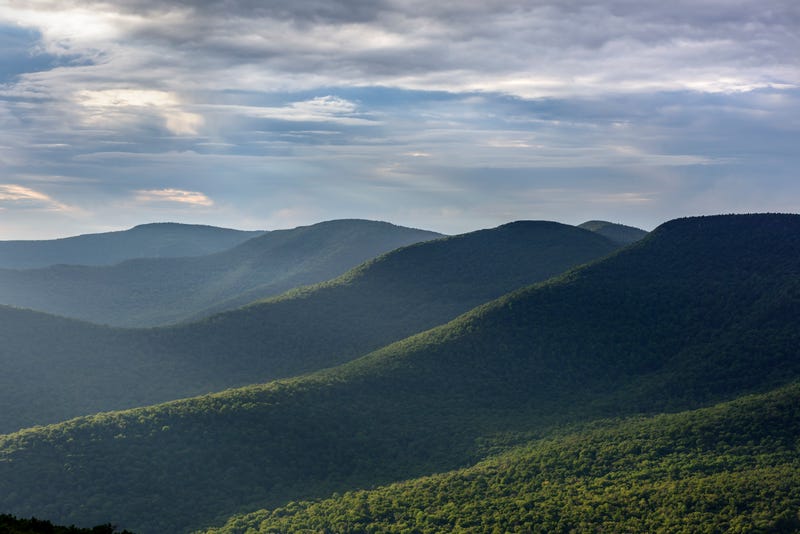 Four hikers were rescued after they got lost in the Catskills while tripping on psychedelic shrooms, officials said