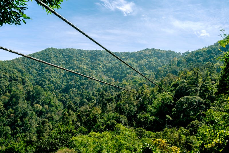 Zipline in the mountain