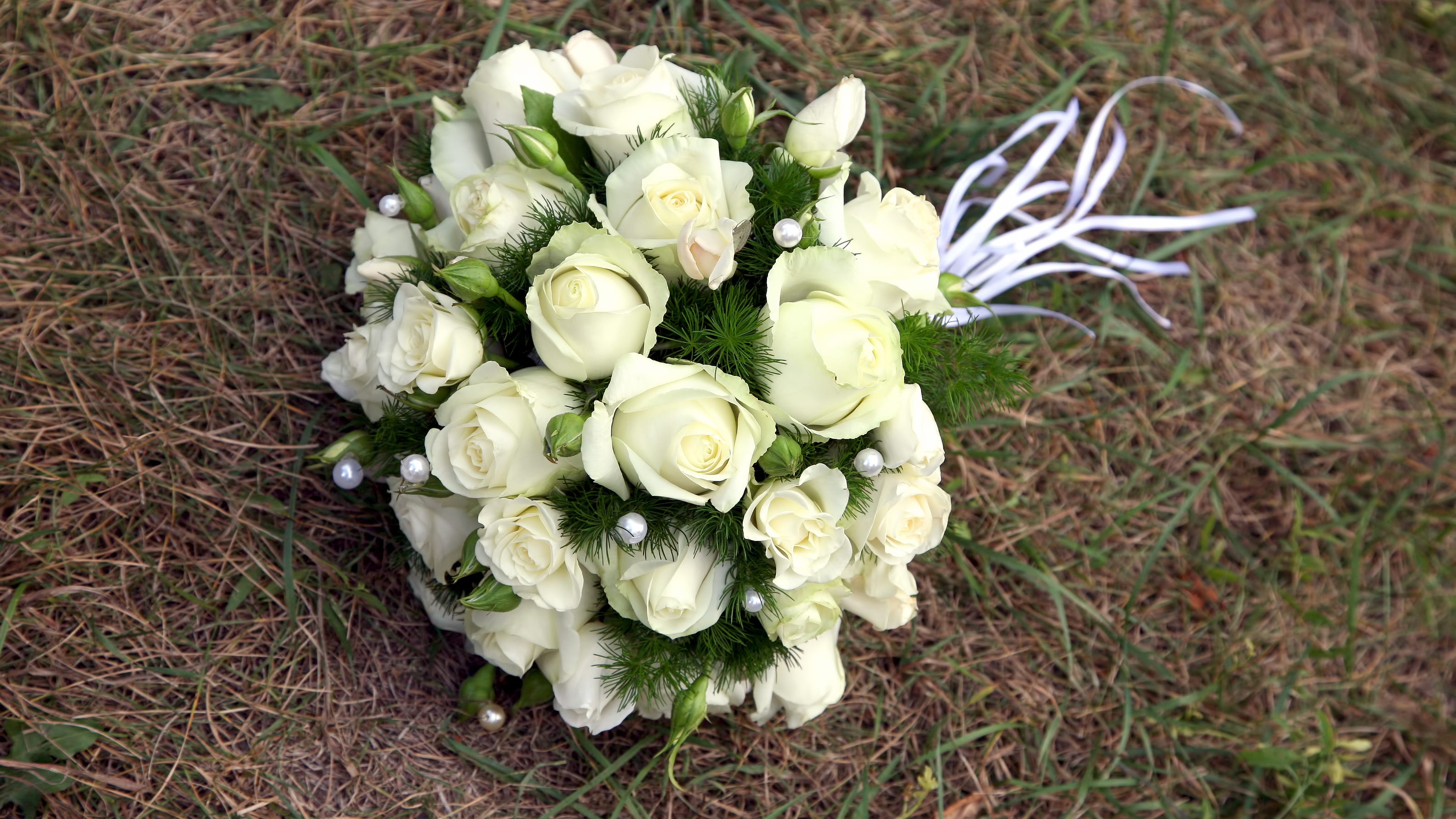 Bride killed leaving her wedding when golf cart is struck by car