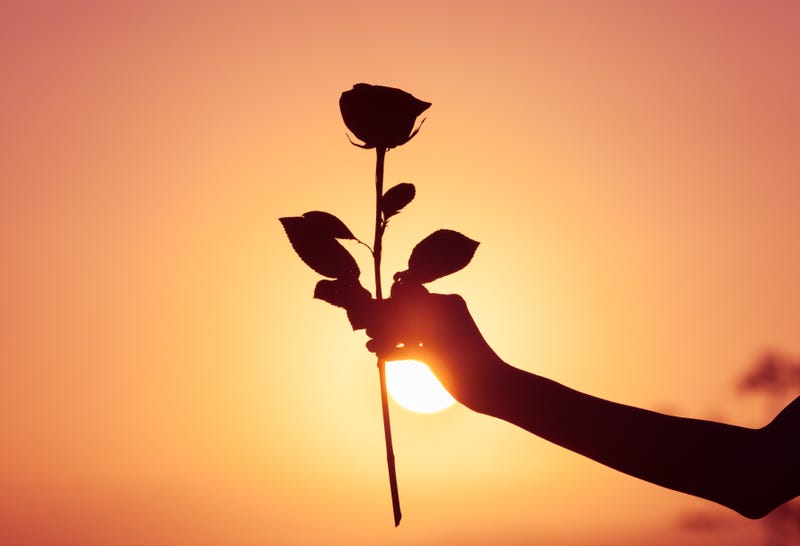 rose