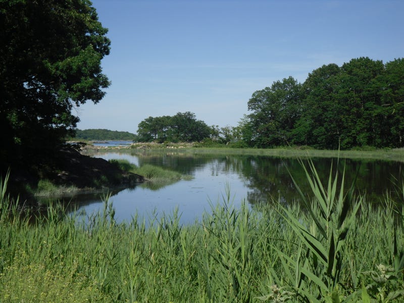 A woman was stabbed to death at Pelham Bay Park in the Bronx, reportedly during a mugging