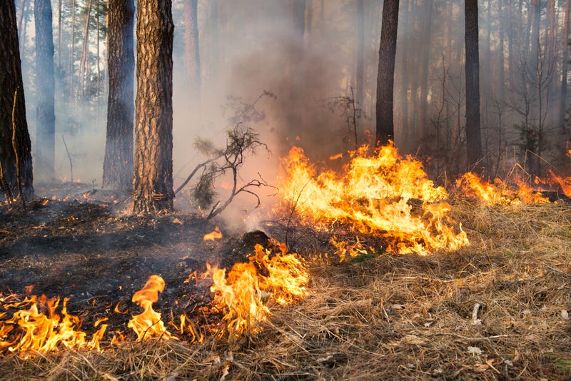 Fire, Wildfire, Yard Waste, Minnesota, DNR