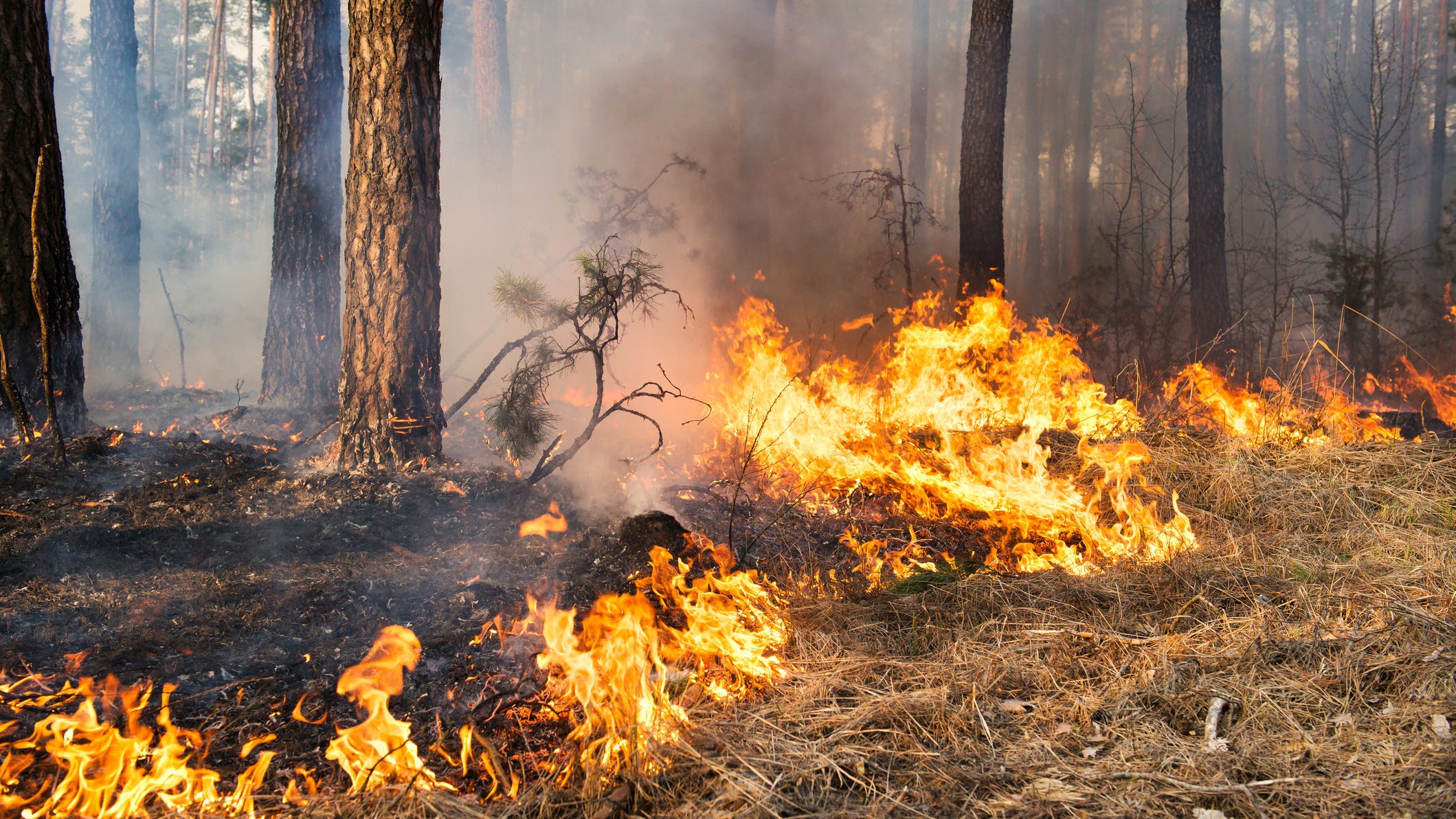 10 acre wildfire continues to burn in Upper Peninsula's Isle Royale National Park