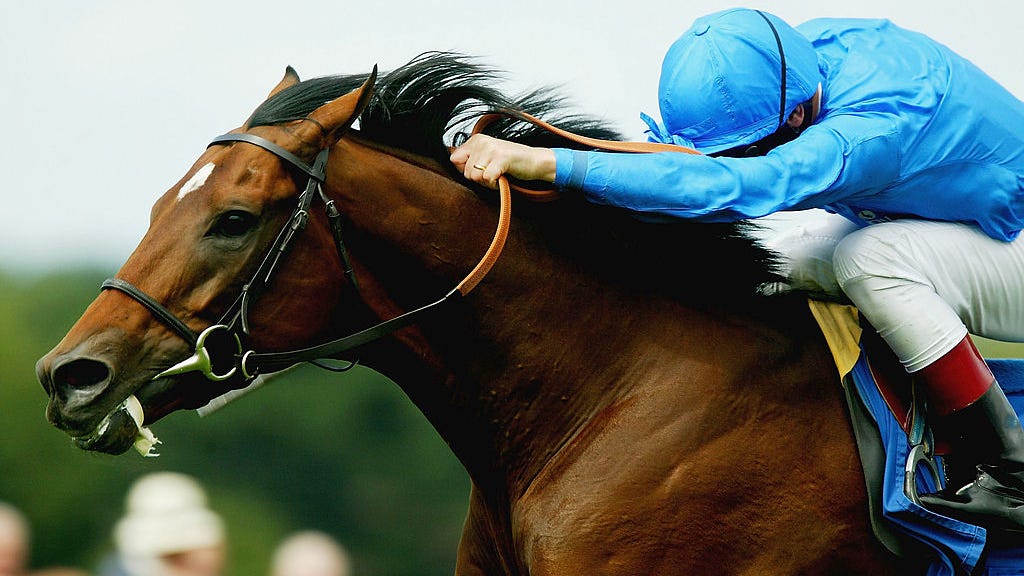 Racehorse collapses, dies after finishing 4th at Los Alamitos