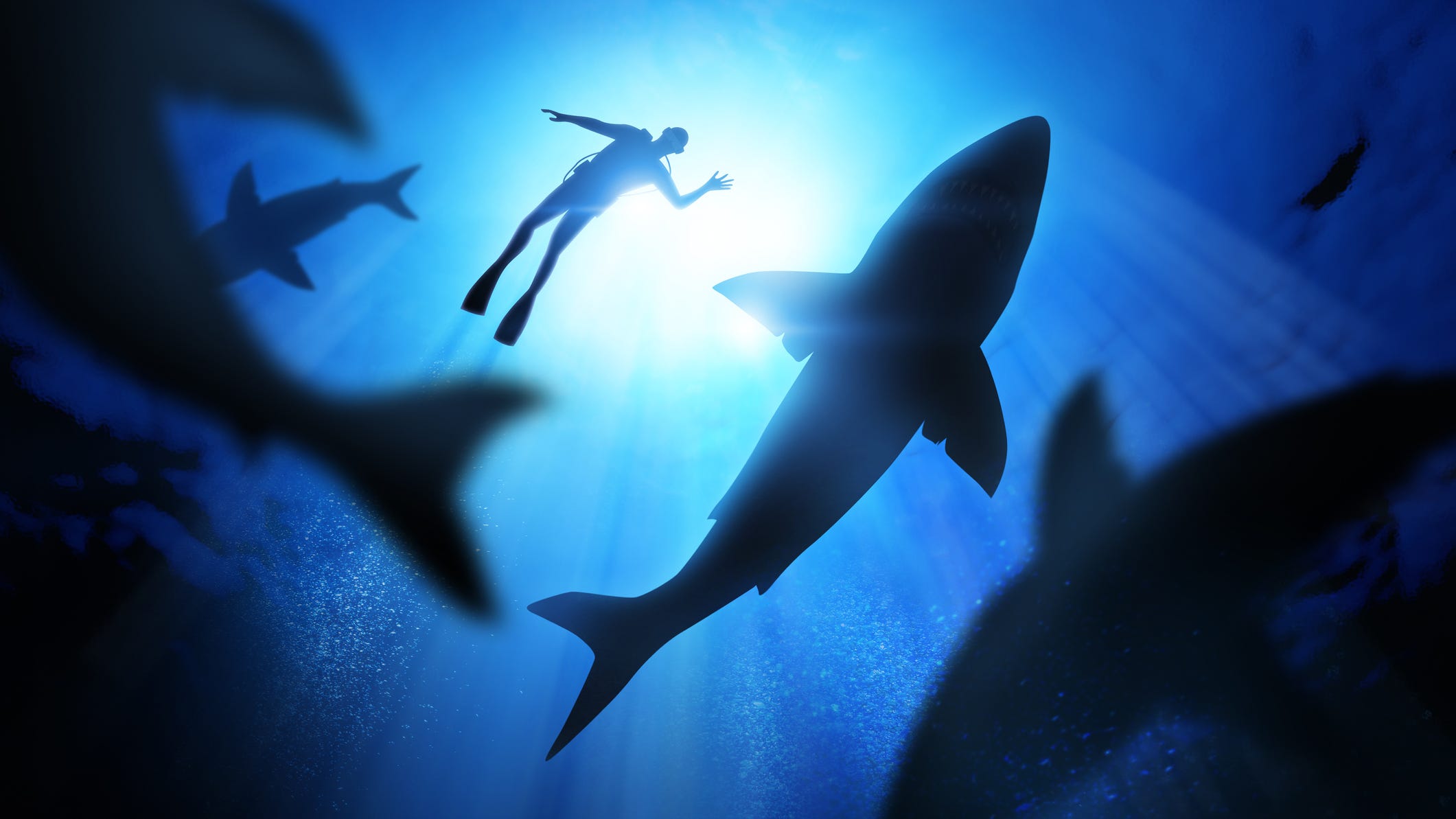 Shark attacks increasing across the US, researchers say