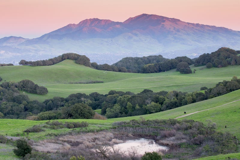 Mt. Diablo and rolling grassy hills of Contra Costa County, California.