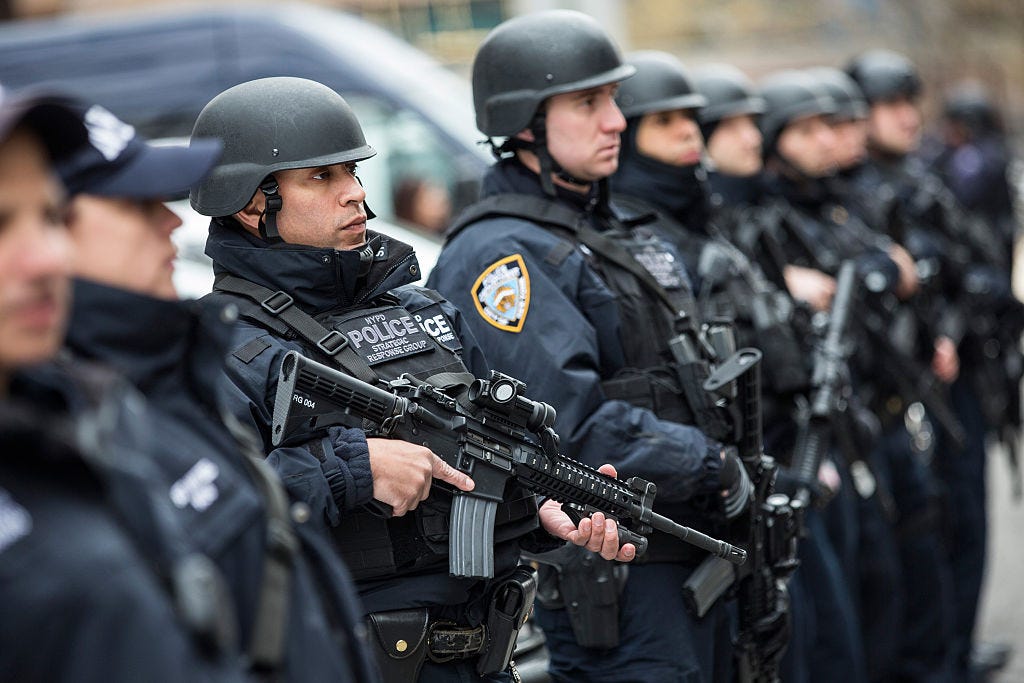 Specialized NYPD unit dispatched to crime-plagued precincts