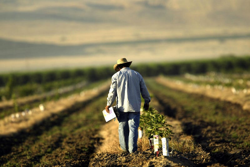 Vilsack, Rep. Scott: “In Congress and at USDA, we share in our hope – and in our dedication – to confront the hard reality of past discrimination and its lingering harm and achieve long-lasting prosperity for all”