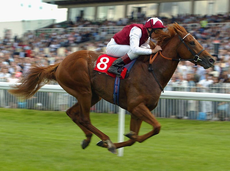 Frankie Dettori brings Windsor Knot home to land The Iveco Daily Solario Stakes Race run at Sandown Racecourse on August 21, 2004.