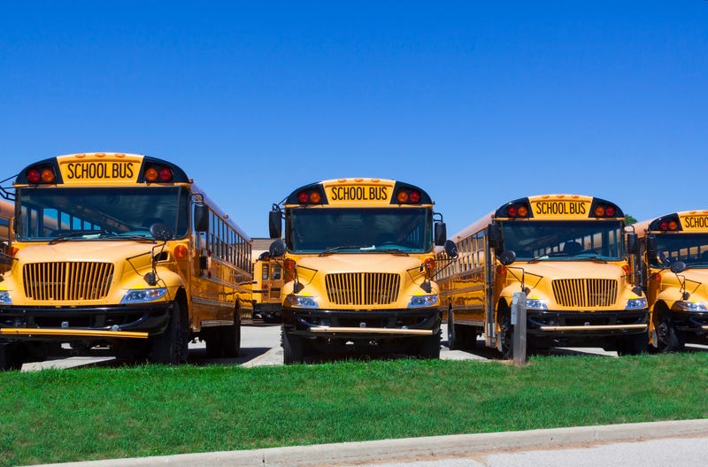 school buses in a lot