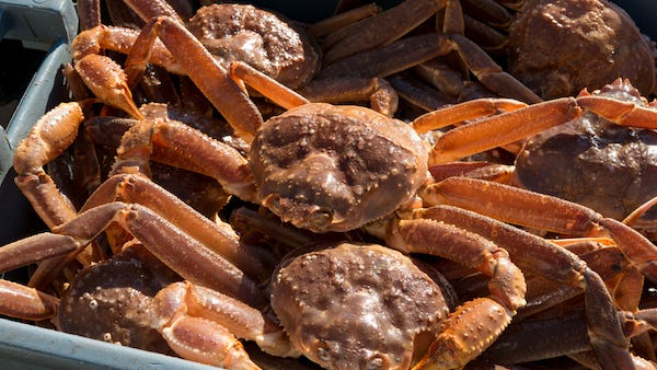 Alaska snow crab season canceled after billions of crabs go missing