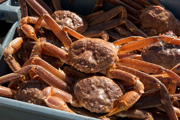 Snow crab crates on fishing boat