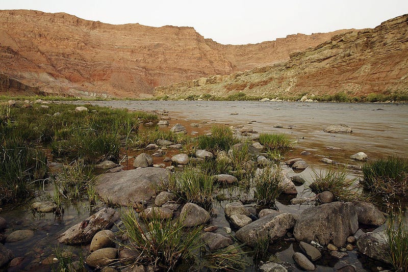 The Colorado River flows though Marble Canyon downstream from Glen Canyon Dam and Lake Powell as the five-year-old Western drought continues on September 26, 2004 southwest of Page, Arizona. 