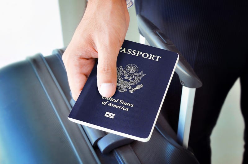 person holding passport 