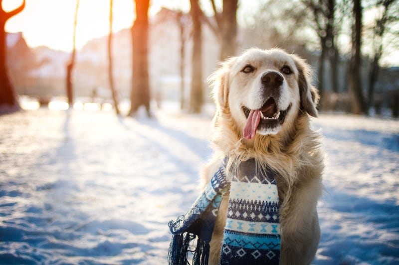 hobo_018 - iStock/Getty Images Plus