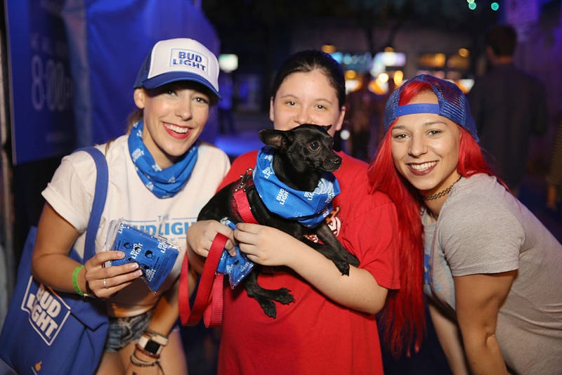 Dog And People At A Party For Bud Light