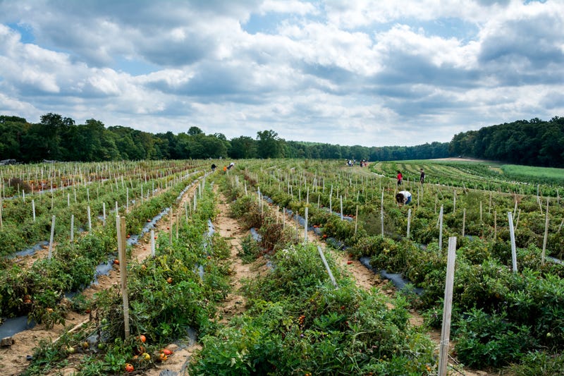 A farm in Chester, N.J.