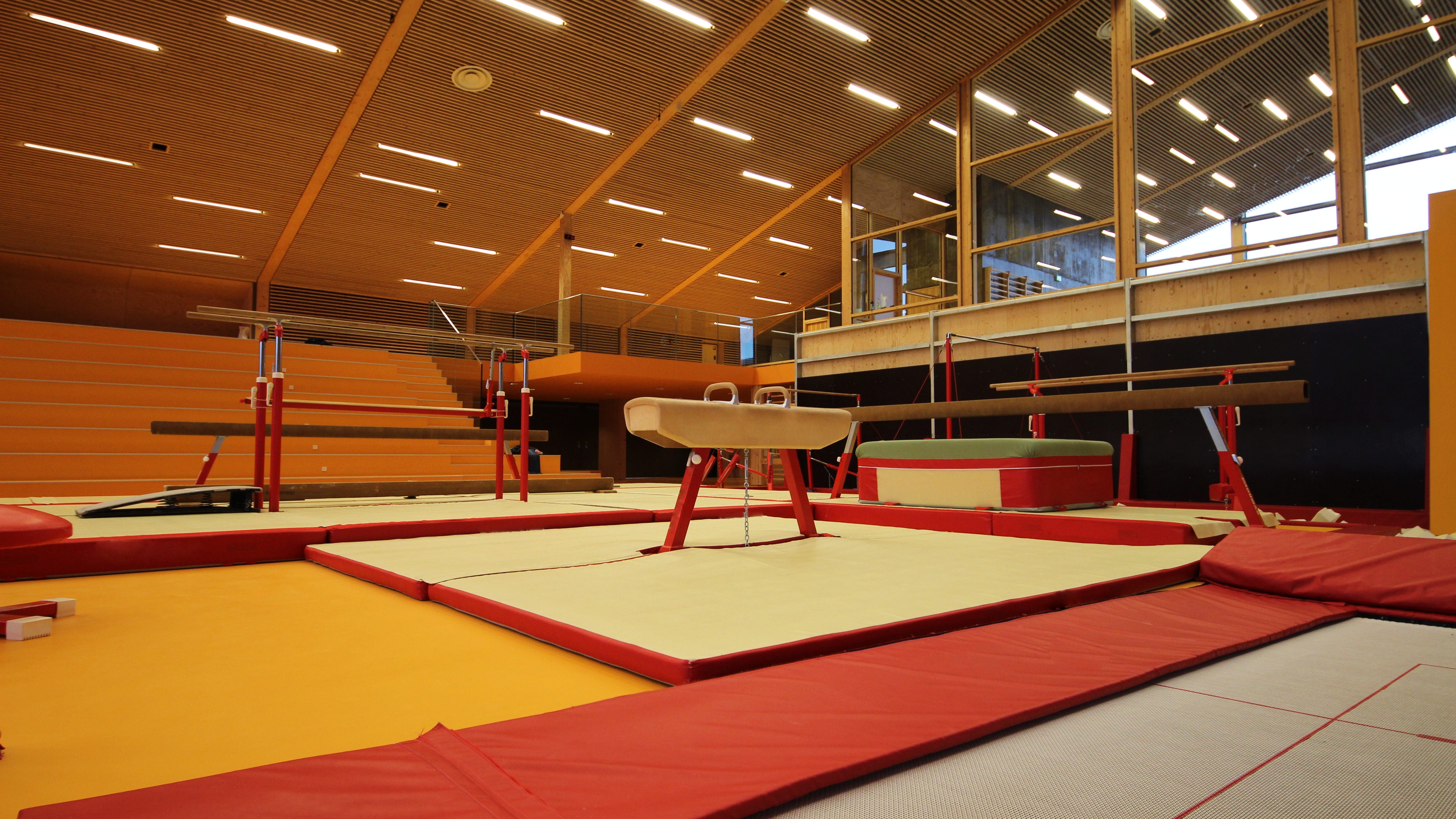High School boys gymnastics teams receive lots of support as future remains uncertain