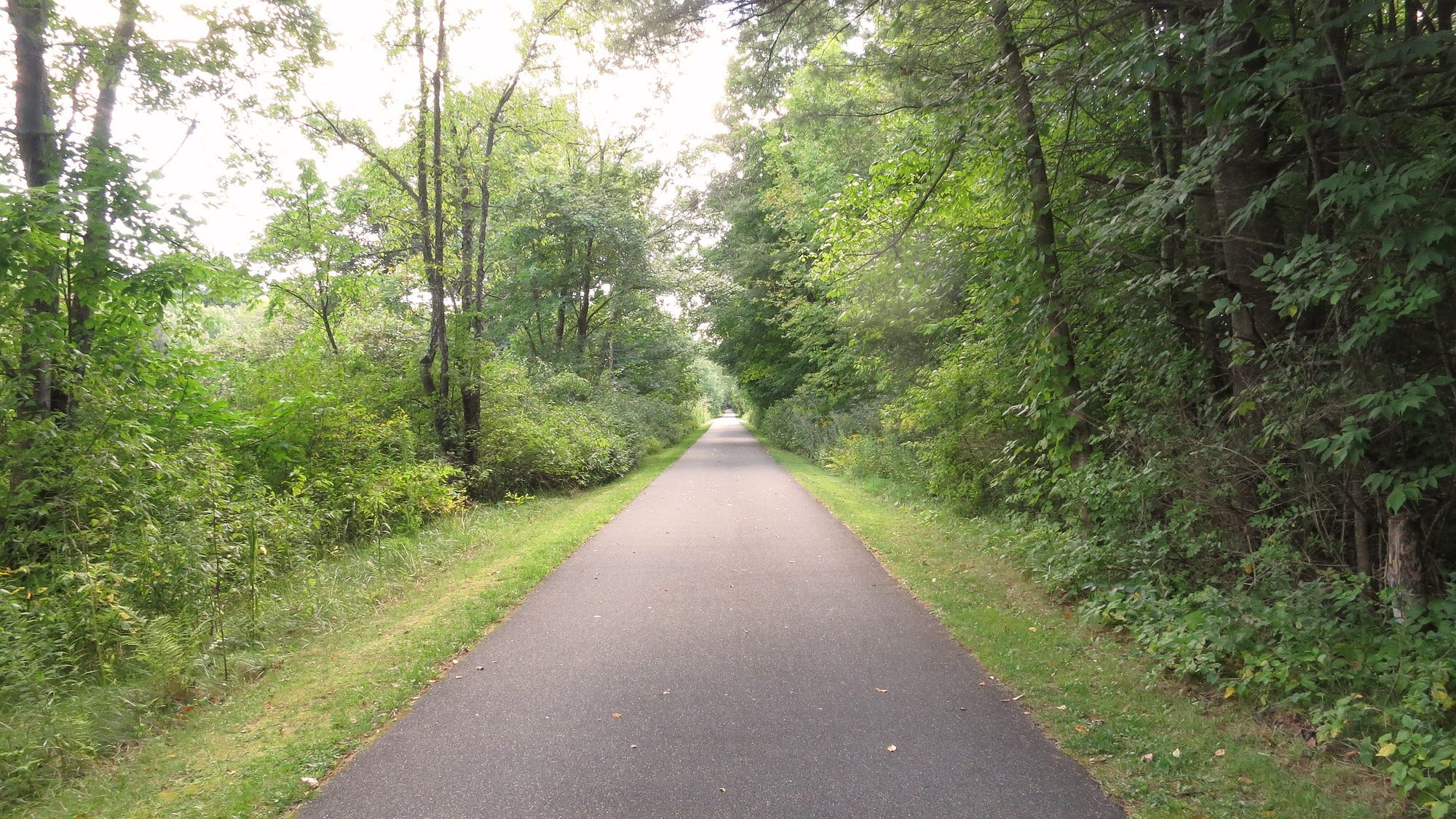 Attempted stabbing on popular North Bay trail alarms locals