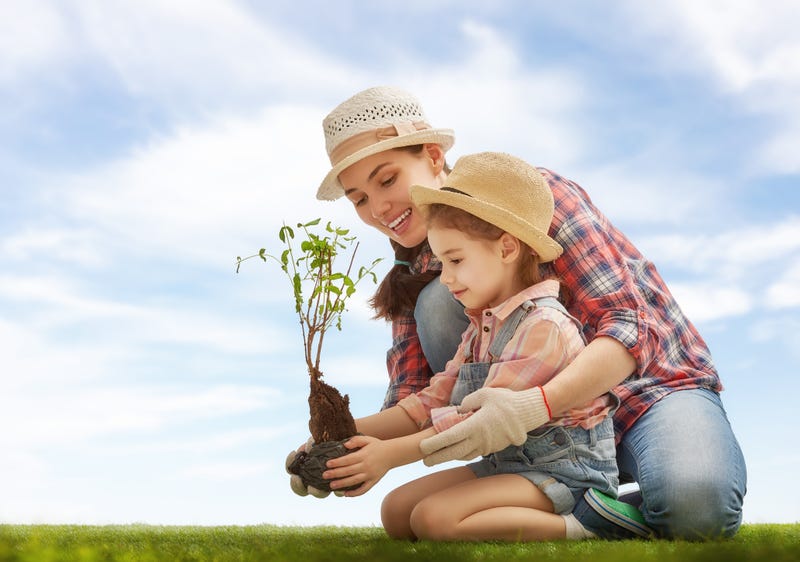 girl plant sapling tree with mother