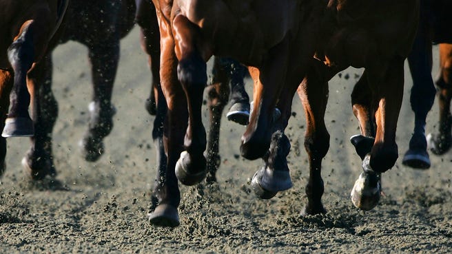 Two horses die from racing injuries at Los Alamitos