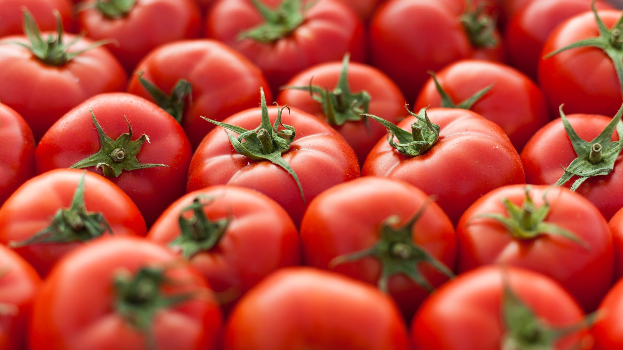 See the dwarf tomatoes grown in outer space