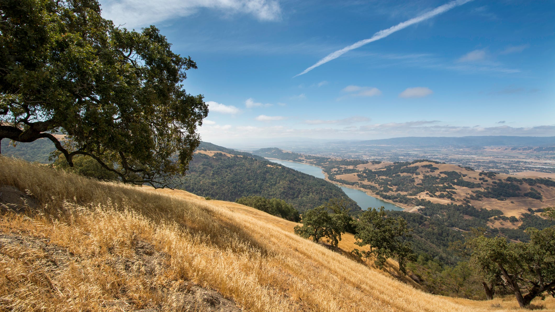 Multiple Bay Area cities forecast to exceed 110 degrees Tuesday