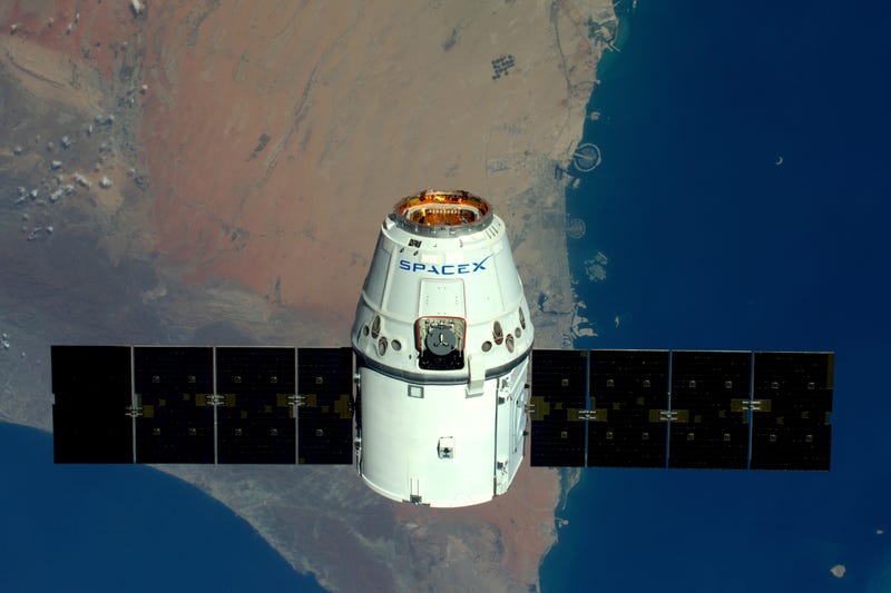 Dragon 1