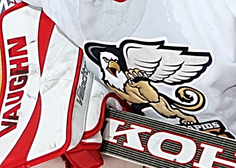 Officials for the Grand Rapids Griffins said the actions of a few fans attending Friday night's match up against the Cleveland Monsters came at a steep price.