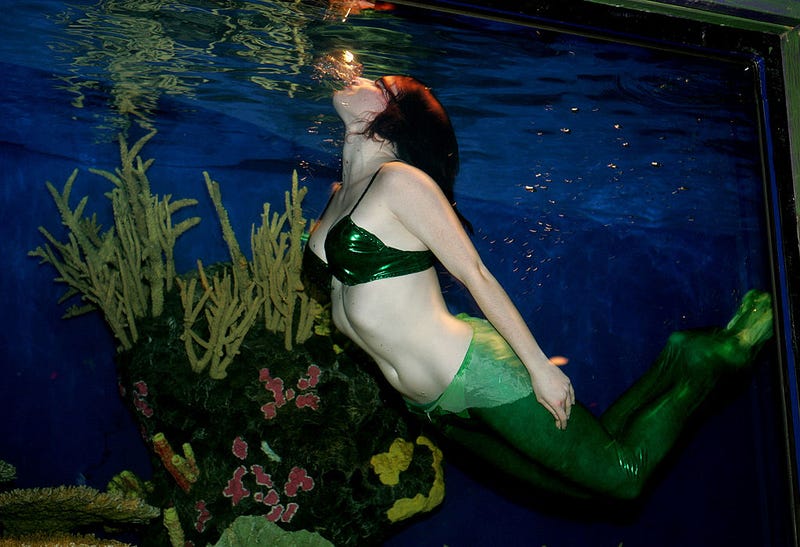A woman dressed as a mermaid swims in a tank during the opening night for "Shockheaded Peter" after party at The Coral Room February 22, 2005 in New York City.