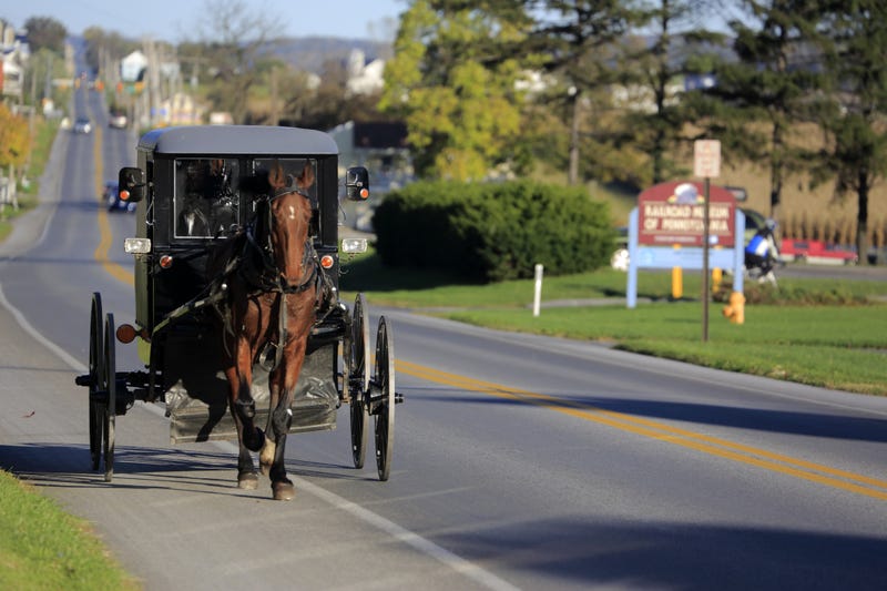 An Amish buggy on a country road.