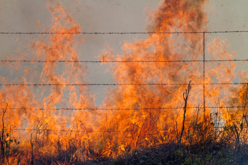 Fire crews in Kansas busy with multiple wildfires