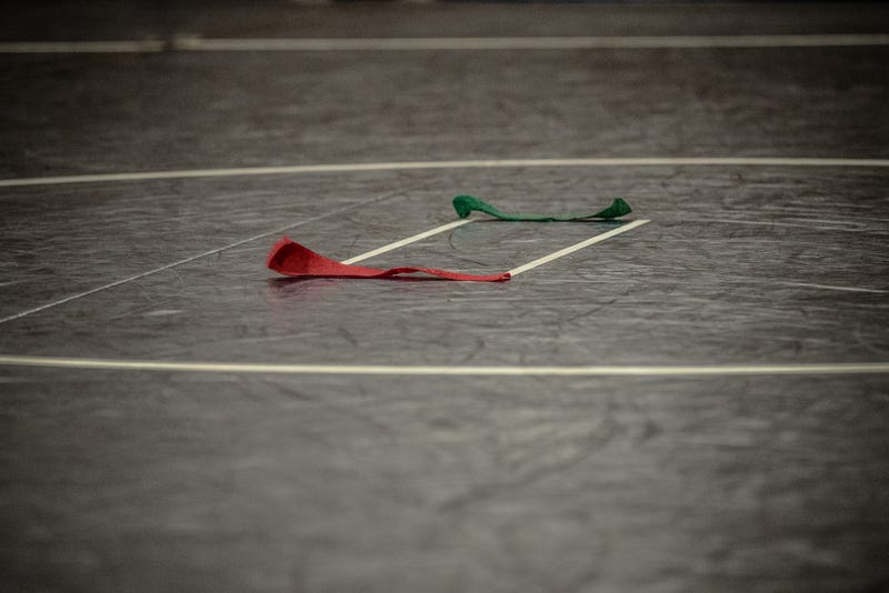 Wrestling mat
