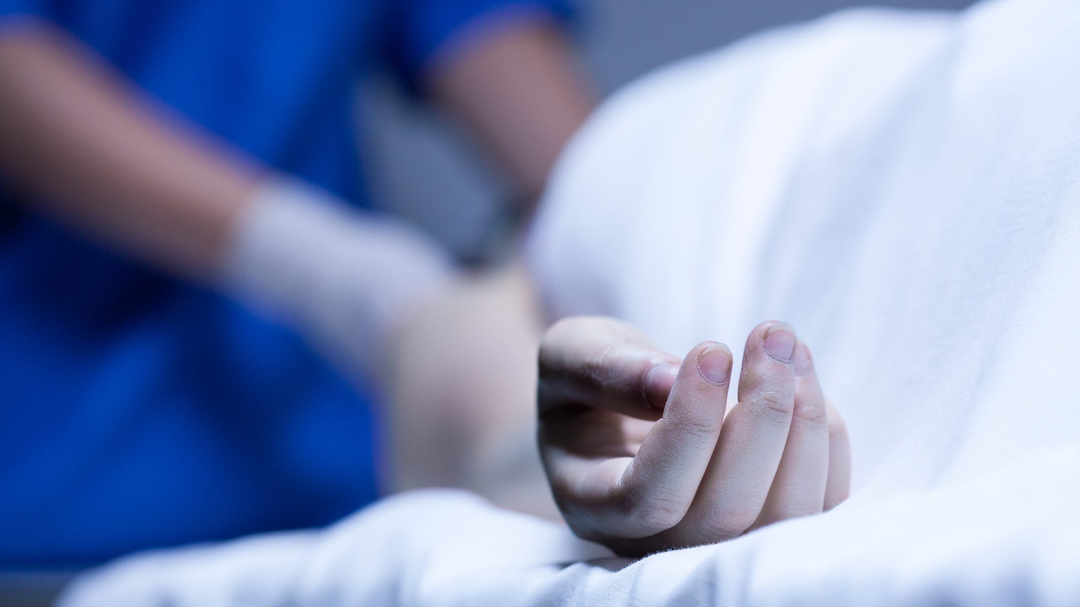 Harvard staffer illegally sold cadaver organs that were turned into human leather