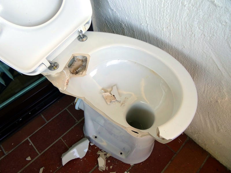 Broken Toilet