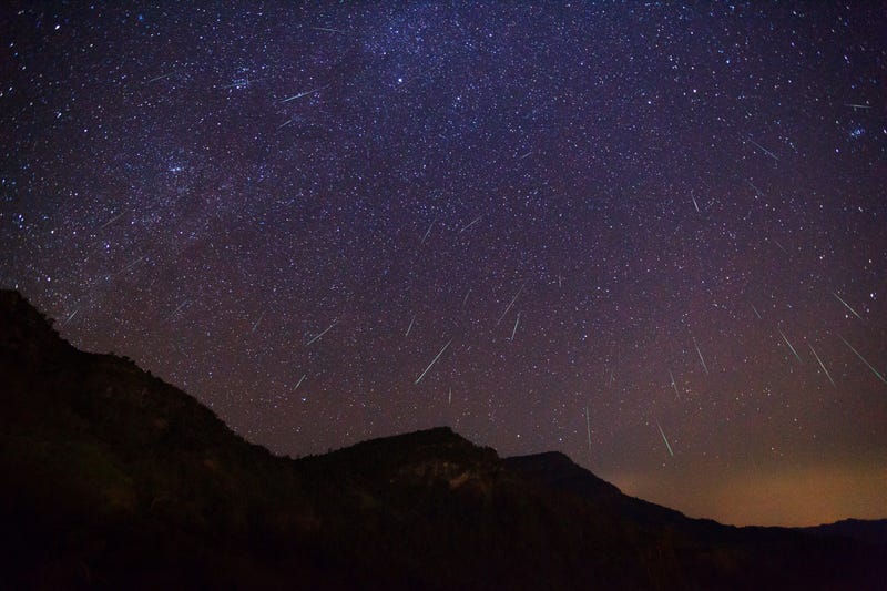 Geminid Meteor in the night sky