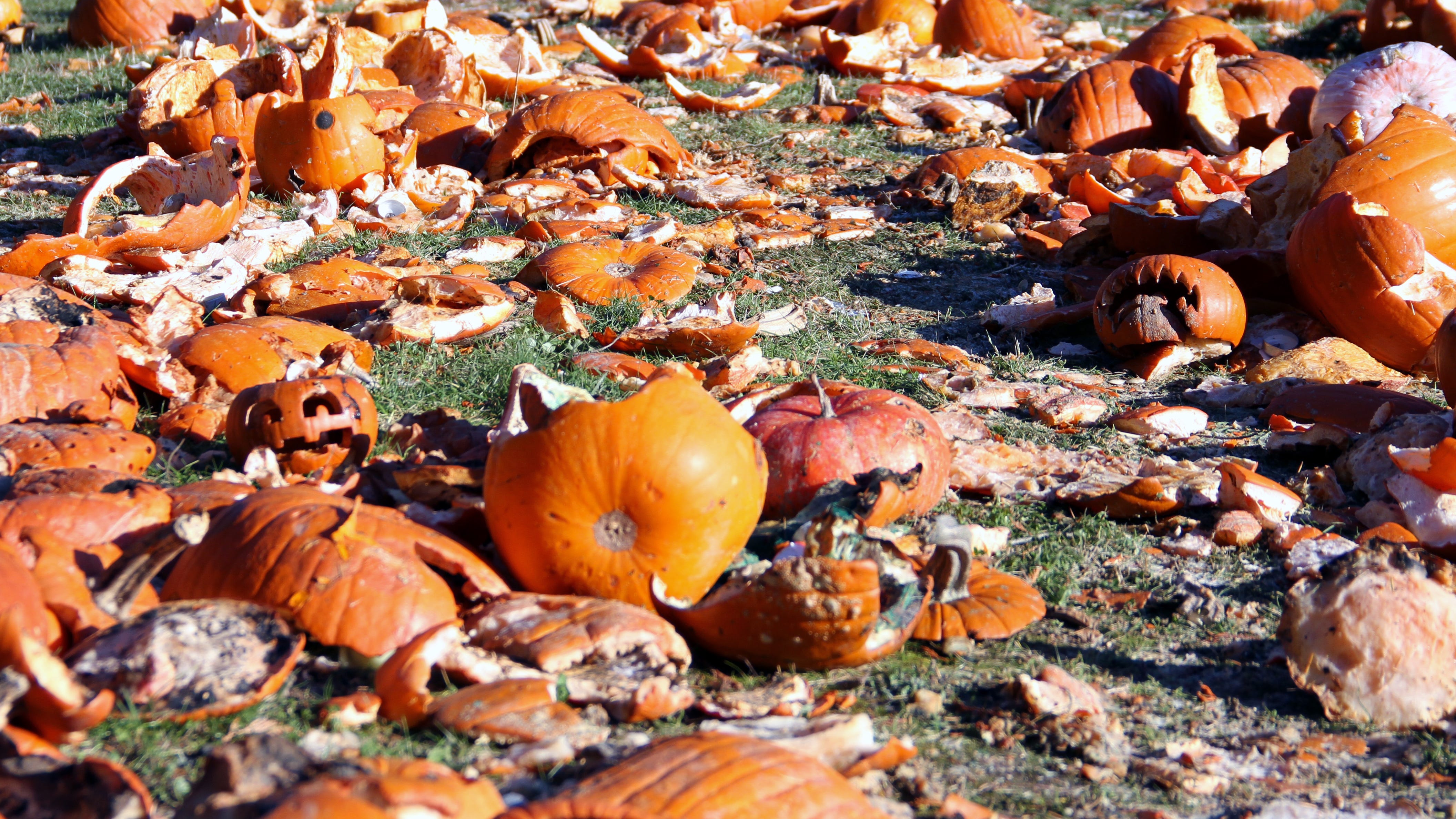 Pumpkin smashes let you get rid of jack-o’-lanterns in messiest way possible
