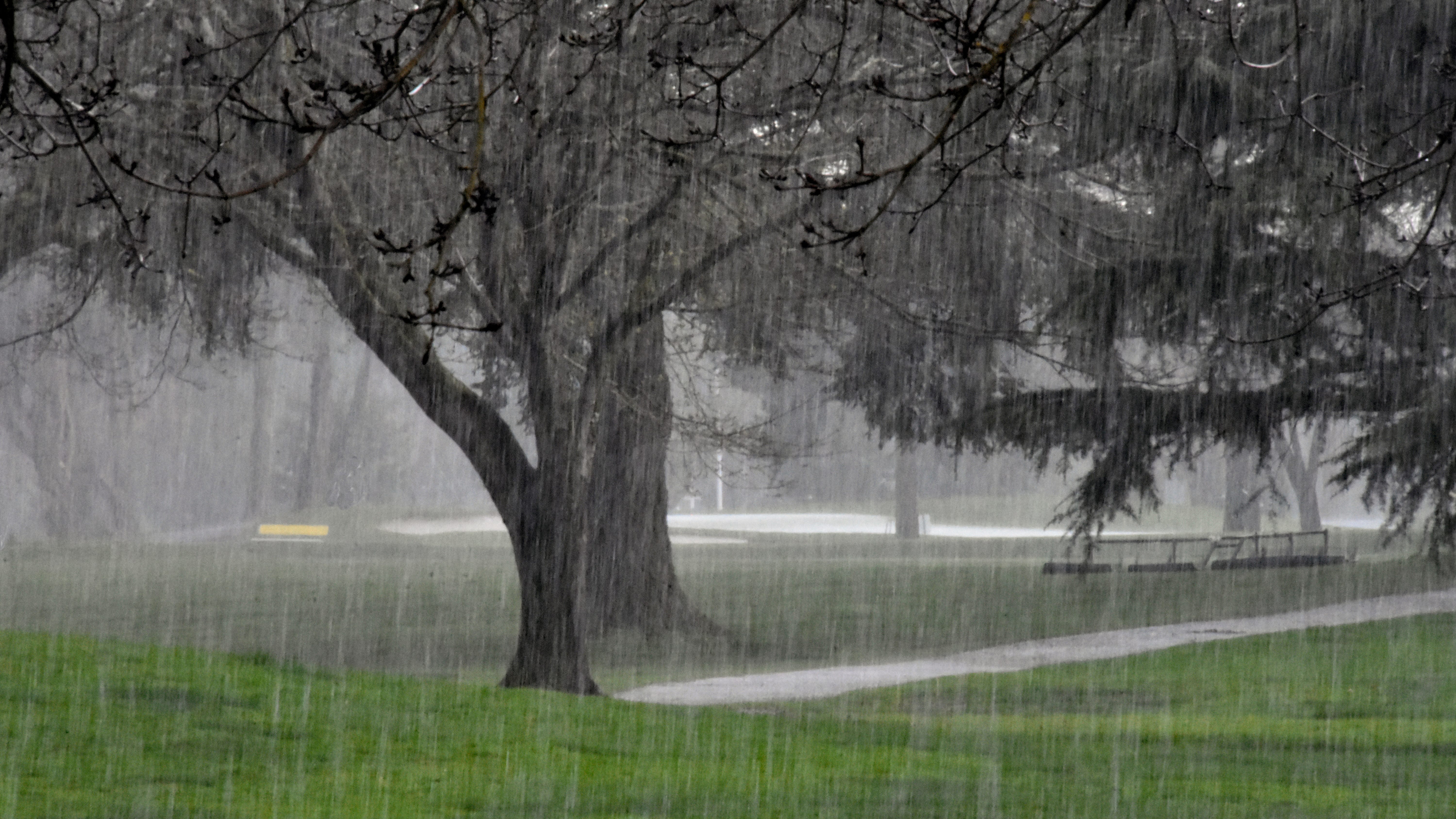 Ask the Expert: How do we prepare for spring storm season?