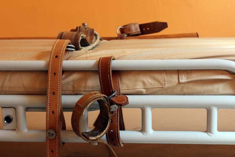 Bed restraints