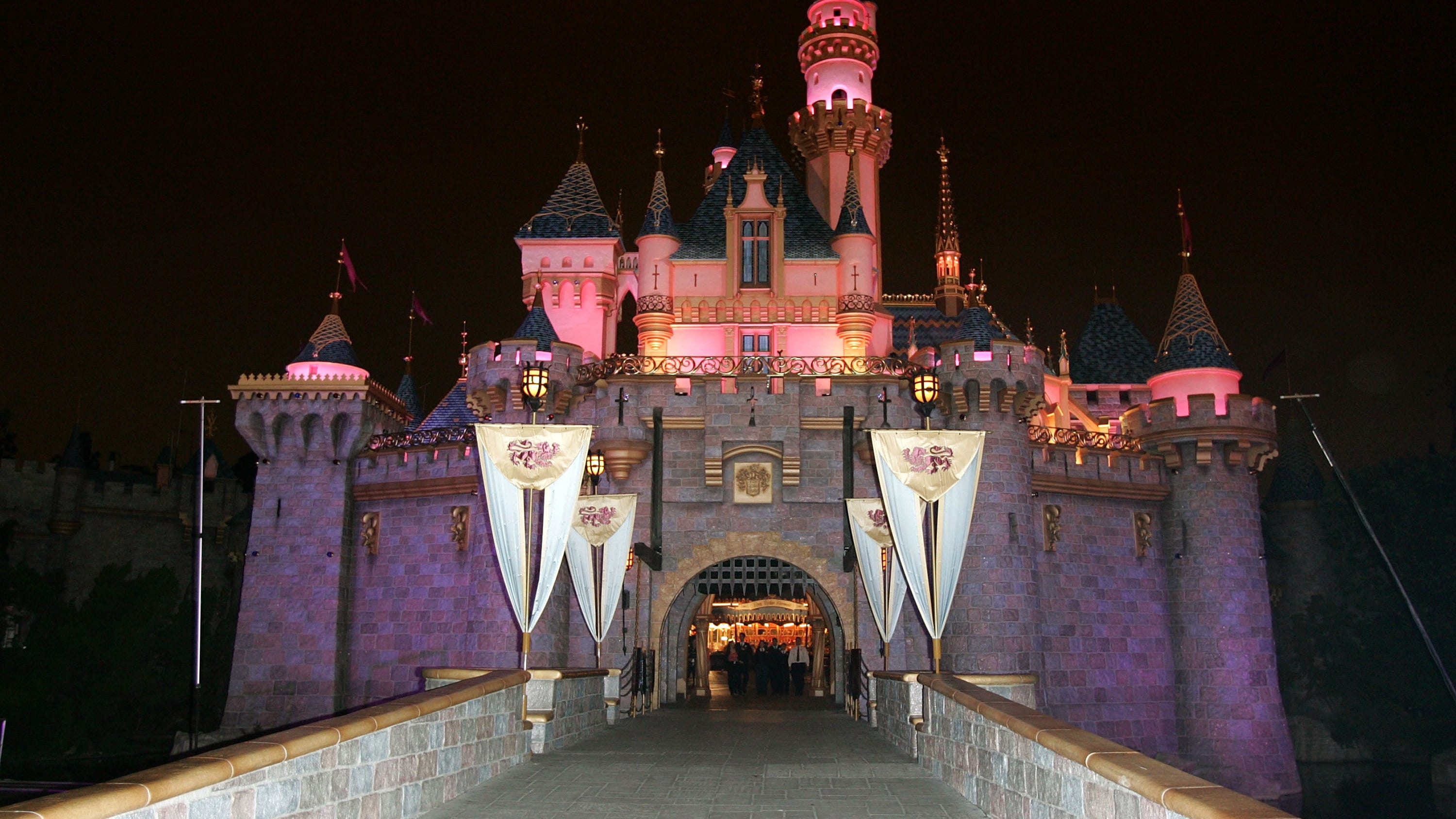 Disney suspends sale of Magic Key passes