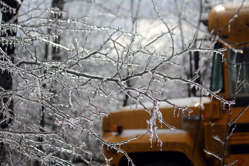Ice on branches near school bus